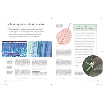 Comprendre les plantes et les arbres