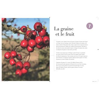 Comprendre les plantes et les arbres