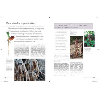 Comprendre les plantes et les arbres