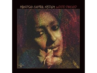 Wood Orchid
