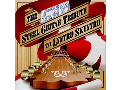 Steel guitar