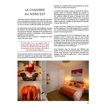 Feng Shui - Ouvrir les yeux sur son intérieur
