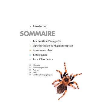 Les Araignées du monde