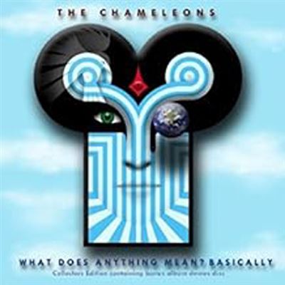 What does anything mean basically/ed collector/remasterise