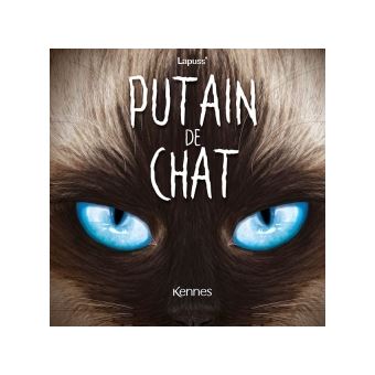 Putain de chat