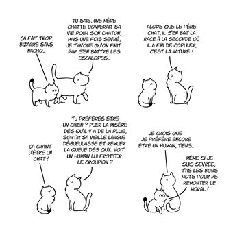 Putain de chat