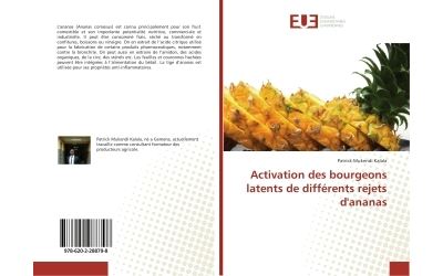 Activation des bourgeons latents de différents rejets d'ananas