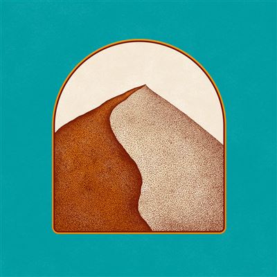Dust Moves Vinyle Orange
