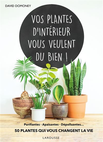 Vos plantes d'intérieur vous veulent du bien !
