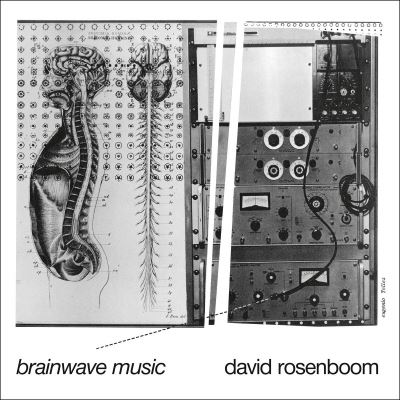 Brainwave Music Expanded Double Vinyle
