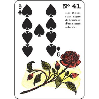 Gypsy Witch - 55 cartes pour développer votre intuition grace à la sagesse tzigane