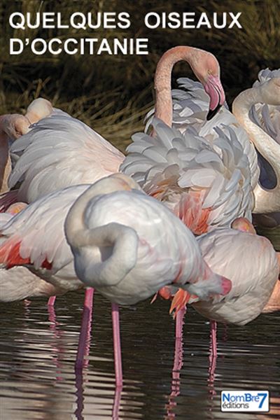 Quelques oiseaux d'Occitanie