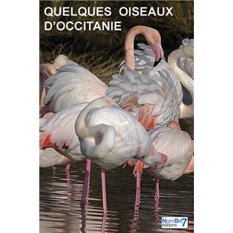 Quelques oiseaux d'Occitanie