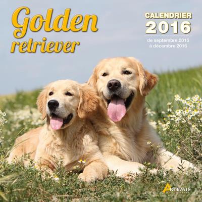 Calendrier 2016 Golden retriever