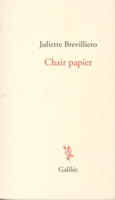 Chair papier