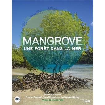 Mangrove, une forêt dans la mer