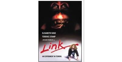 Link Blu-ray