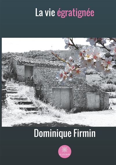 La vie égratignée - Dominique Firmin - broché