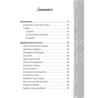 L'oracle de la quête spirituelle - Pour les éternels élèves de la vie