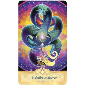 L'oracle de la quête spirituelle - Pour les éternels élèves de la vie