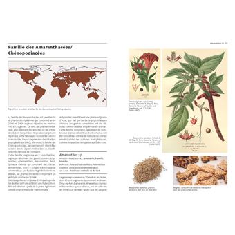 Les Graines et leurs usages