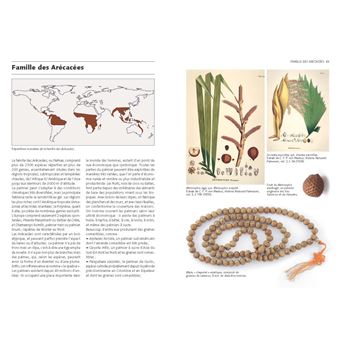 Les Graines et leurs usages