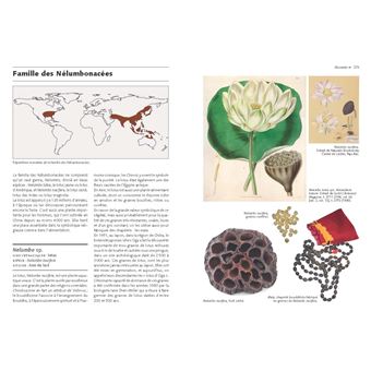 Les Graines et leurs usages