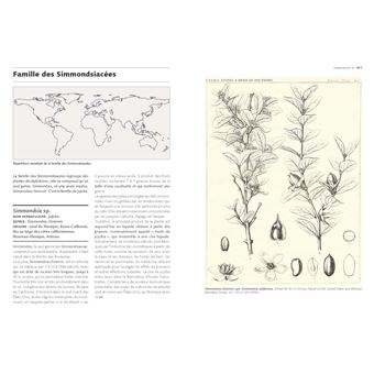 Les Graines et leurs usages