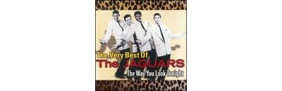 Way you look tonight best of