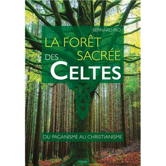 La forêt sacrée des Celtes