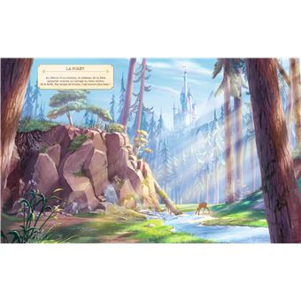 DISNEY PRINCESSES - Châteaux de princesses - Bienvenue chez Belle