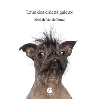 Tous des chiens galeux