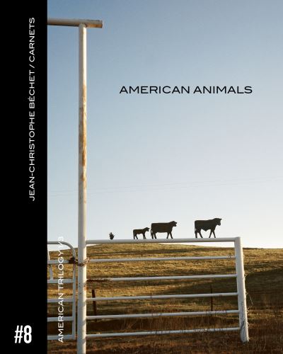 Jean-christophe bechet/carnet,08:american animals