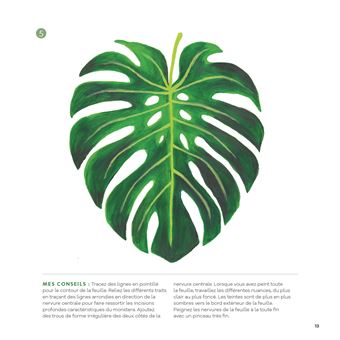 Acrylique en 5 étapes