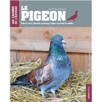 Peluche Pigeon Voyageur 20cmH Hansa