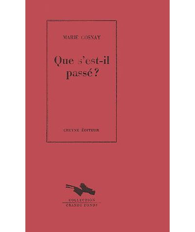 Que s'est-il passé ?
