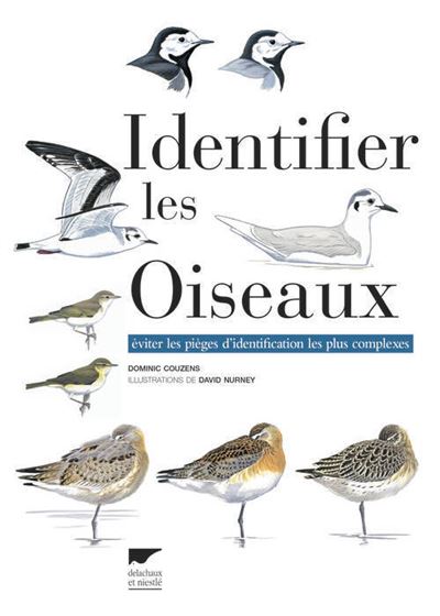 Identifier les oiseaux. Eviter les pièges d'identification les plus complexes