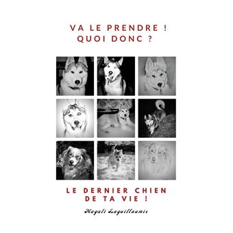 Va le prendre ! - Quoi donc ? - Le dernier chien de ta vie !