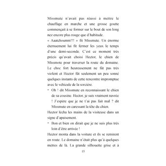 Madame Belle et le fantôme de Littleroad
