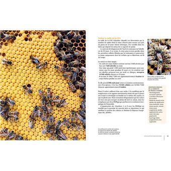 La ruche basse consommation d'énergie - Une révolution apicole