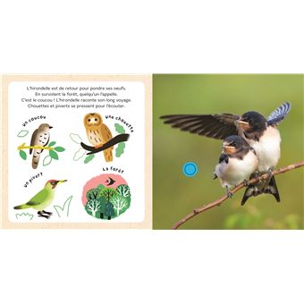 Mes bébés animaux dans le ciel - livre sonore National Geographic