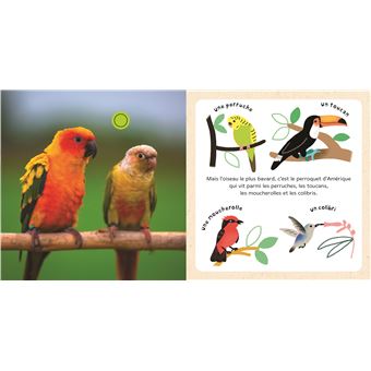 Mes bébés animaux dans le ciel - livre sonore National Geographic