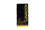 SERVIETTE DE PLAGE HARRY POTTER HOGWARTS 70X140CM