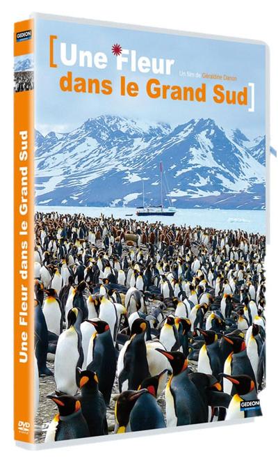 Une fleur dans le grand Sud DVD
