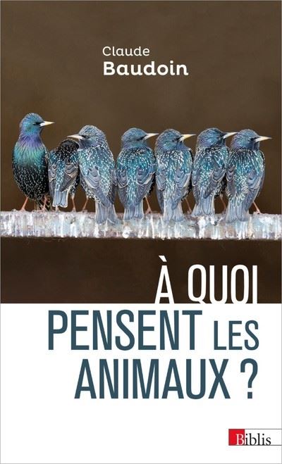 A quoi pensent les animaux ? - Claude Baudoin - broché