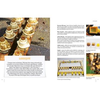 Elever ses reines - 3 méthodes simples pour réussir à coup sûr