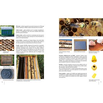 Elever ses reines - 3 méthodes simples pour réussir à coup sûr