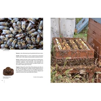 Elever ses reines - 3 méthodes simples pour réussir à coup sûr