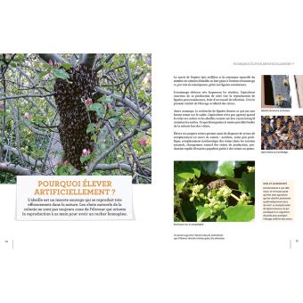 Elever ses reines - 3 méthodes simples pour réussir à coup sûr