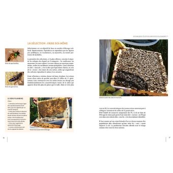 Elever ses reines - 3 méthodes simples pour réussir à coup sûr